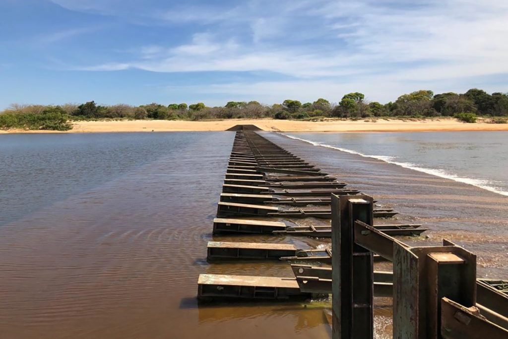 O caso ainda foi encaminhado ao Ministério Público Federal (MPF), para remessa ao Instituto Brasileiro do Meio Ambiente e dos Recursos Naturais Renováveis (Ibama) e à Fundação Nacional do Índio (Funai)
