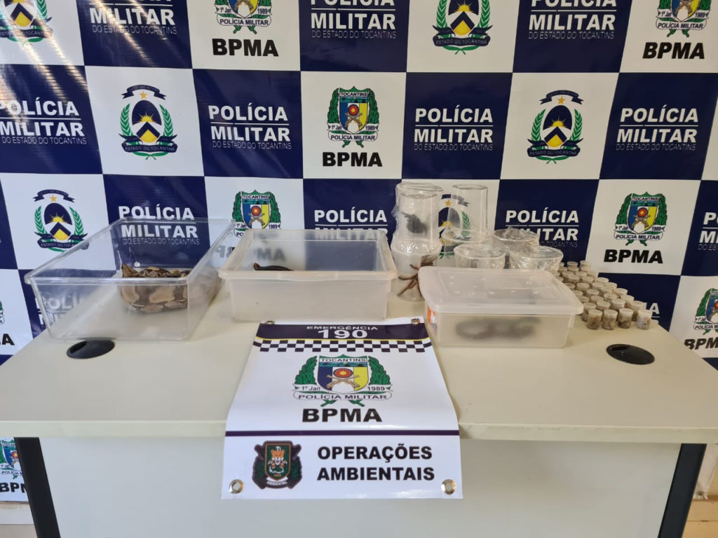Os animais foram apresentados pela equipe do BPMA na Delegacia de Polícia Civil, para investigação dos responsáveis