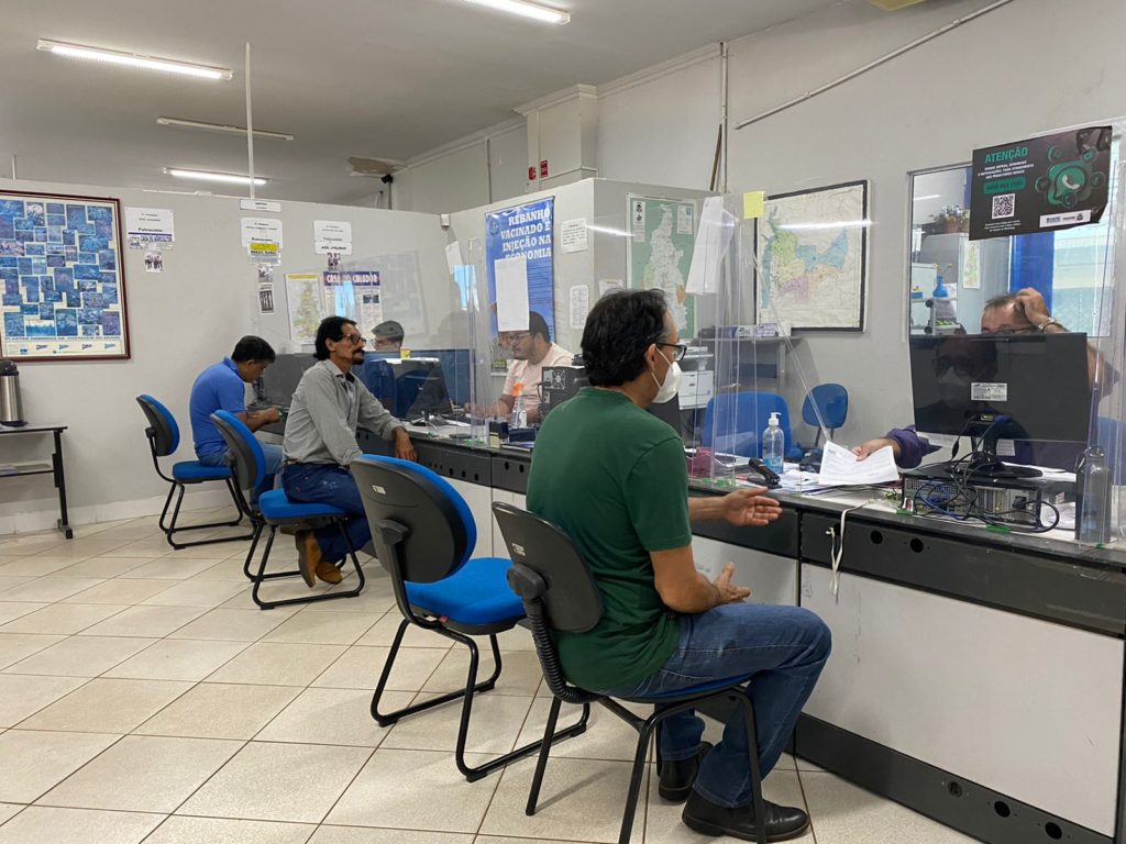 A multa para quem deixou de vacinar é de R$5,32 por animal e por propriedade não declarada é de R$ 127,69