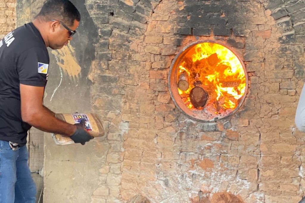 Polícia Civil do Tocantins promove a incineração de mais de meia tonelada de drogas em Araguaína