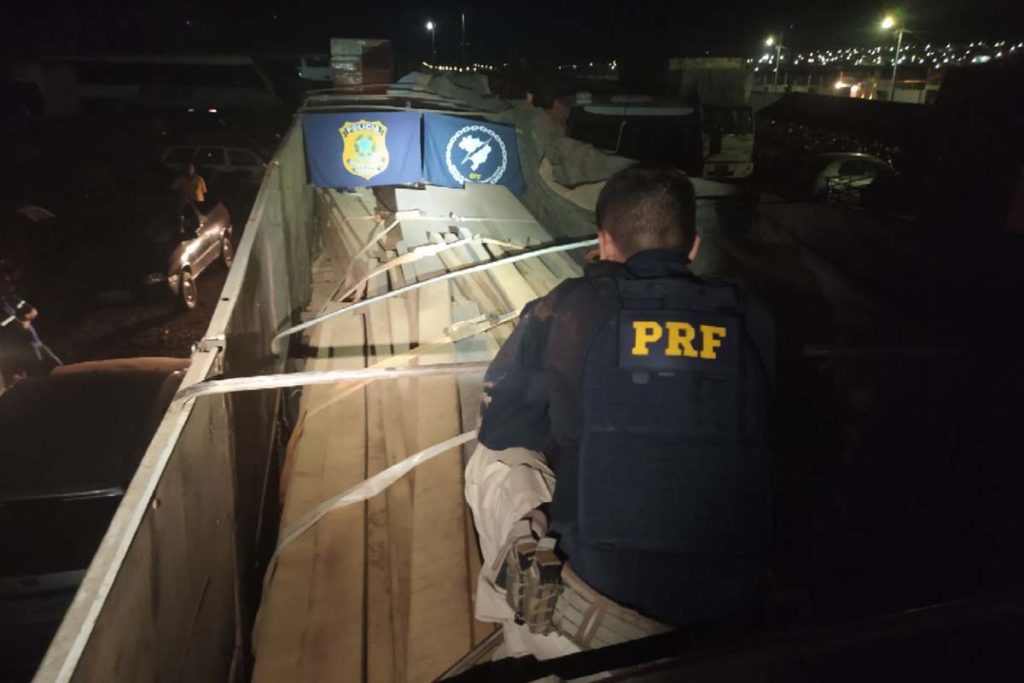 30,55m³ de madeira nativa são apreendidos