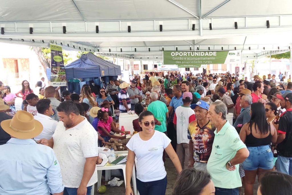 Feira da agricultura familiar em Arraias reúne produtores e movimenta economia local
