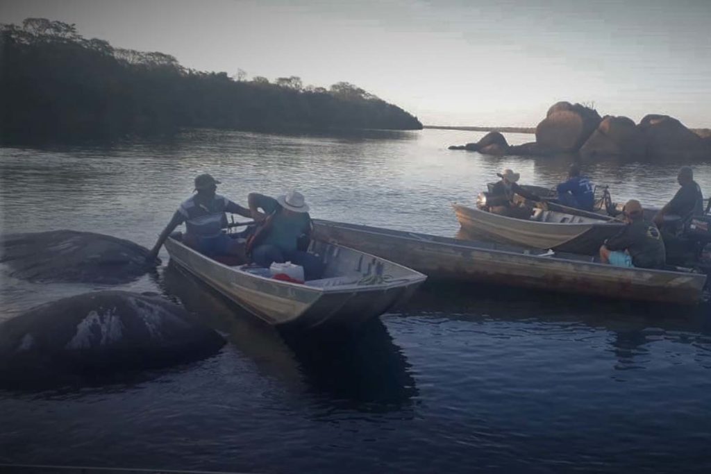 Bombeiros militares localizam corpo de caseiro desaparecido no Rio Tocantins, em Gurupi