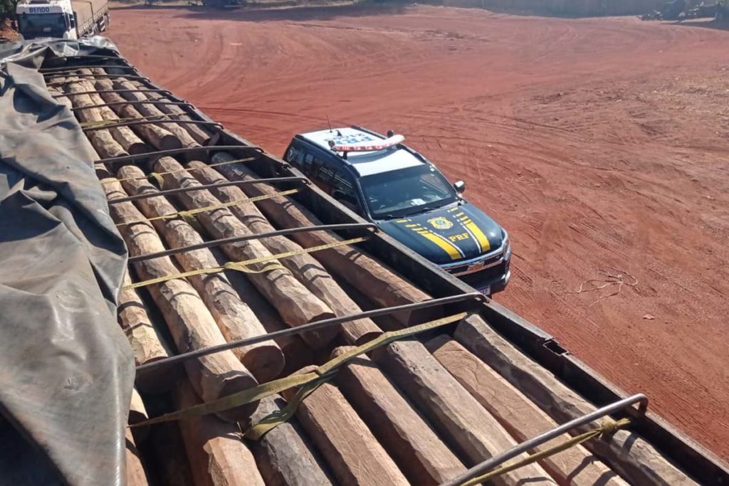 Mais de 164m³ de madeira foram apreendidos em rodovias neste final de semana