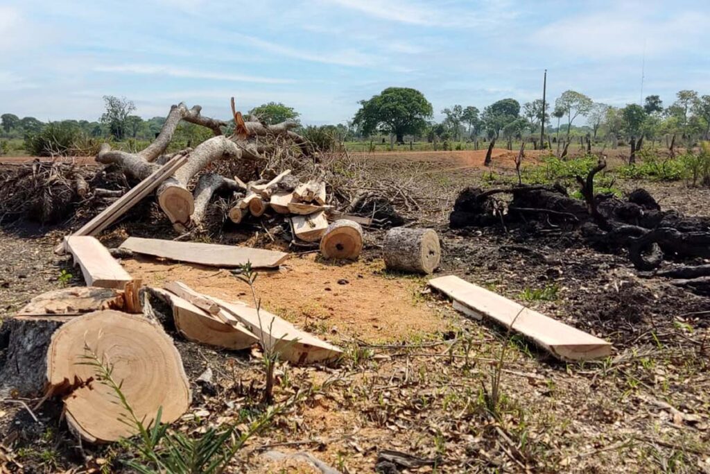 Ministério Público investiga 233 propriedades rurais no Tocantins com suspeita de desmatamento ilegal