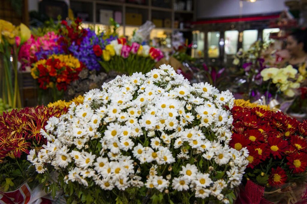 Procon Municipal de Palmas realiza pesquisa de preços para o Dia de Finados