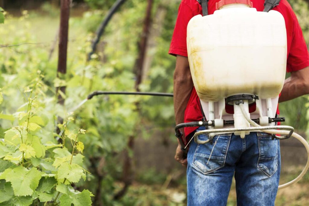 MPTO pede bloqueio de valores de empresa agrícola autuada por utilizar agrotóxicos ilegais