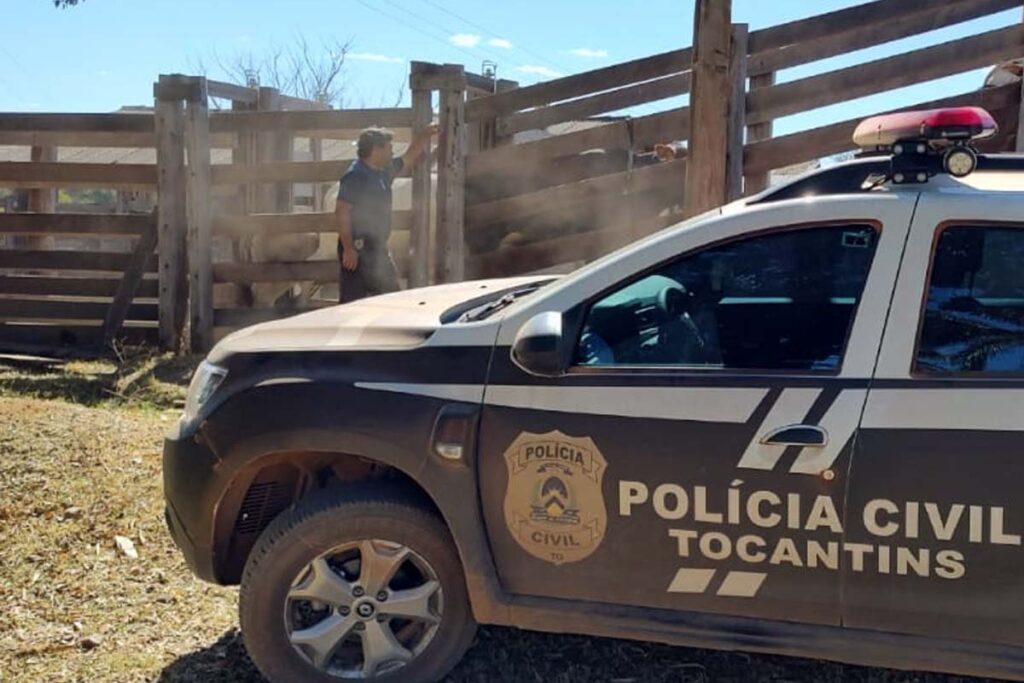 Polícia Civil deflagra operação contra suspeitos de participar de compra e venda de gado Furtado no Tocantins