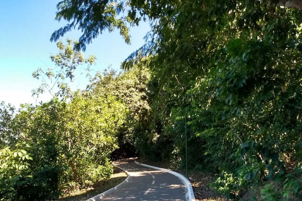 Mulher é assassinada em área de mata do Parque Cesamar