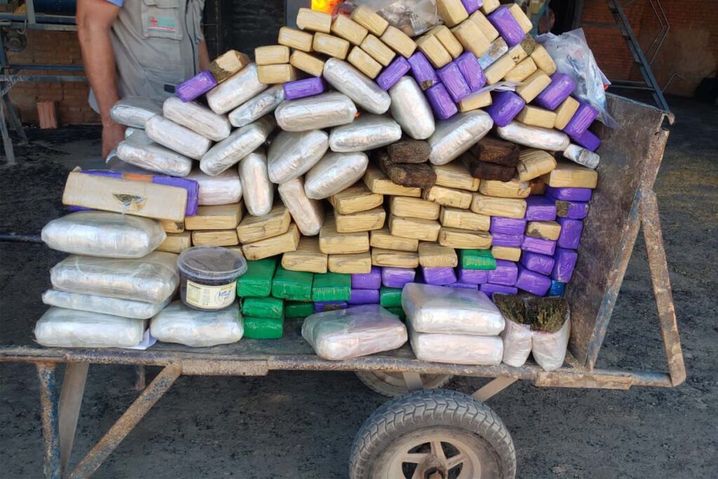 Os entorpecentes foram apreendidos durante os anos de 2021 e 2022