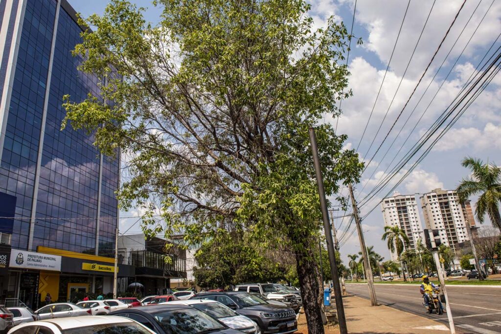 A Secretaria Municipal de Finanças (Sefin) informa que está concluindo o lançamento do IPTU