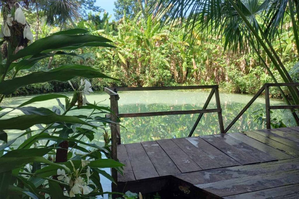 Carnaval 2025: especialista aponta estratégias para empresas de turismo na alta temporada