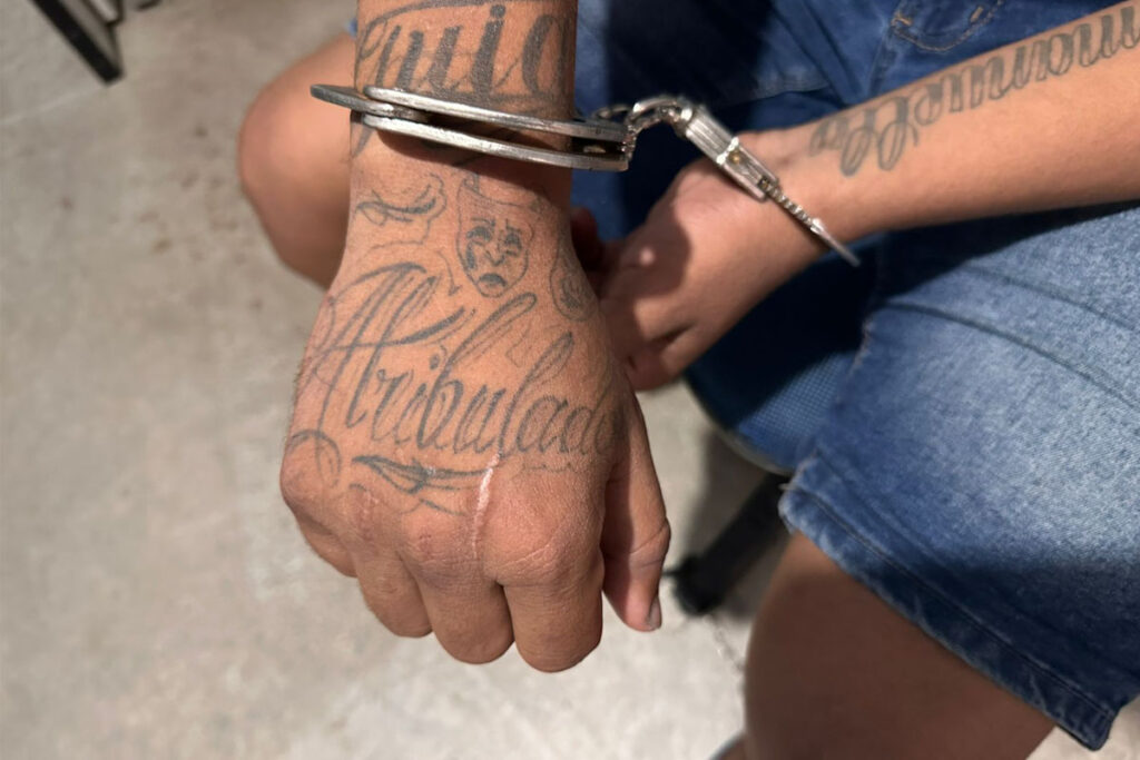 Polícia Civil prende dois suspeitos de homicídio brutal em Paraíso do Tocantins