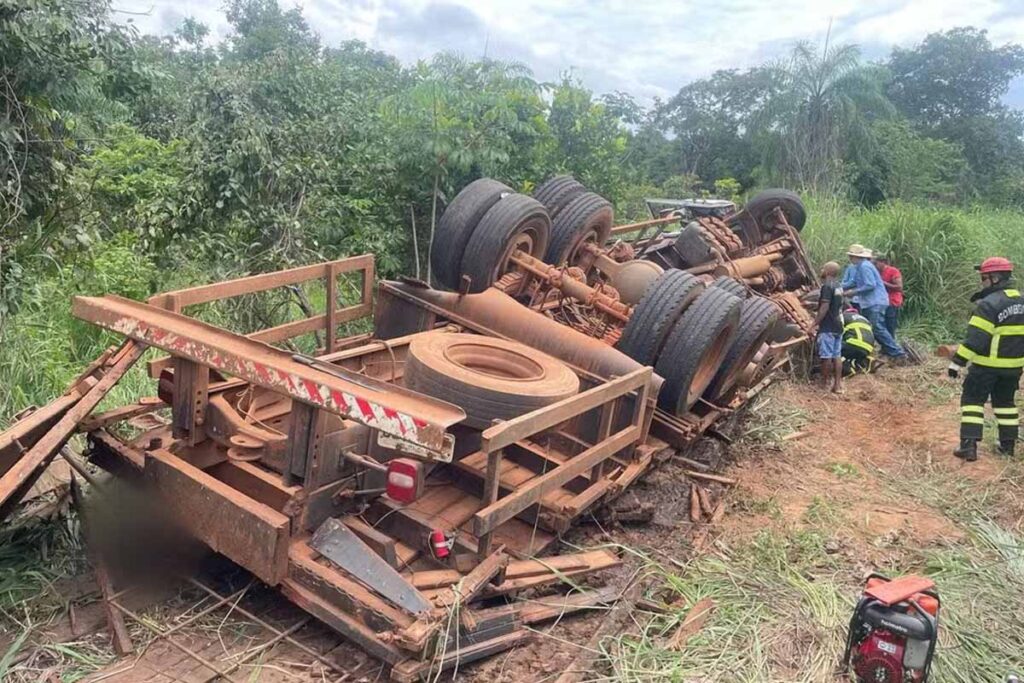 Colisão entre dois caminhões e carro deixa animais mortos na TO-050