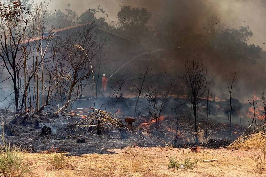 Focos de queimadas aumentam 88% em uma semana, aponta boletim