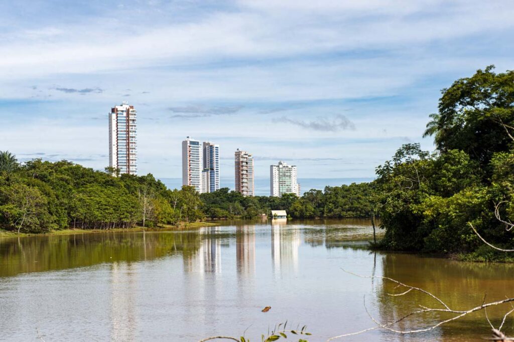 Macaco morto no Parque Cesamar não tinha febre amarela, diz laudo