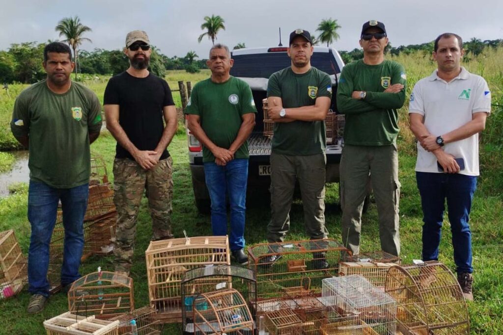 Operação Pássaro Livre: Naturatins Resgata 72 Aves e Aplica R$ 28 Mil em Multas