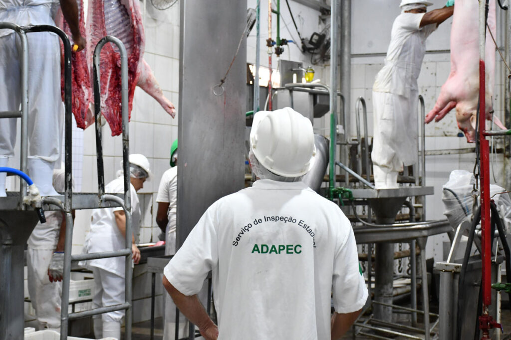 Tocantins autoriza primeiro frigorífico para abate de suínos no Estado