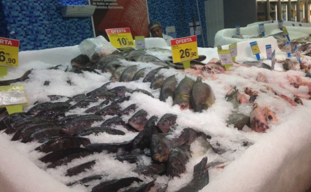 Preço dos pescados em Palmas varia até 132%, aponta Procon Tocantins