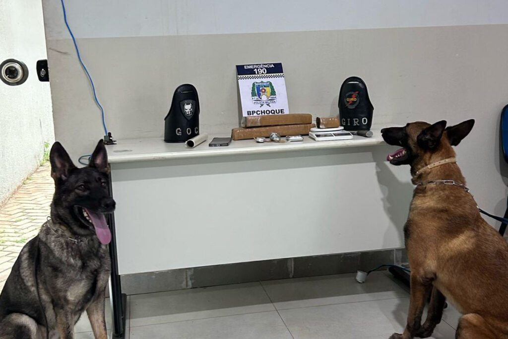 Homem é preso por tráfico de drogas com mais de 2kg de maconha em Palmas