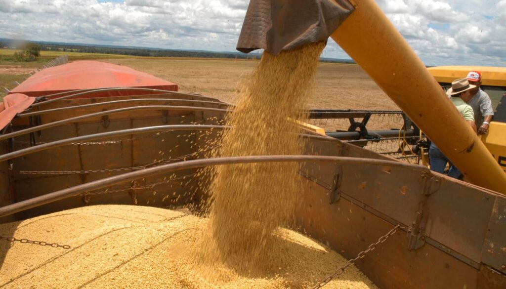 Tocantins tem crescimento de 250% na produção agrícola entre 2018 e 2023, segundo IBGE