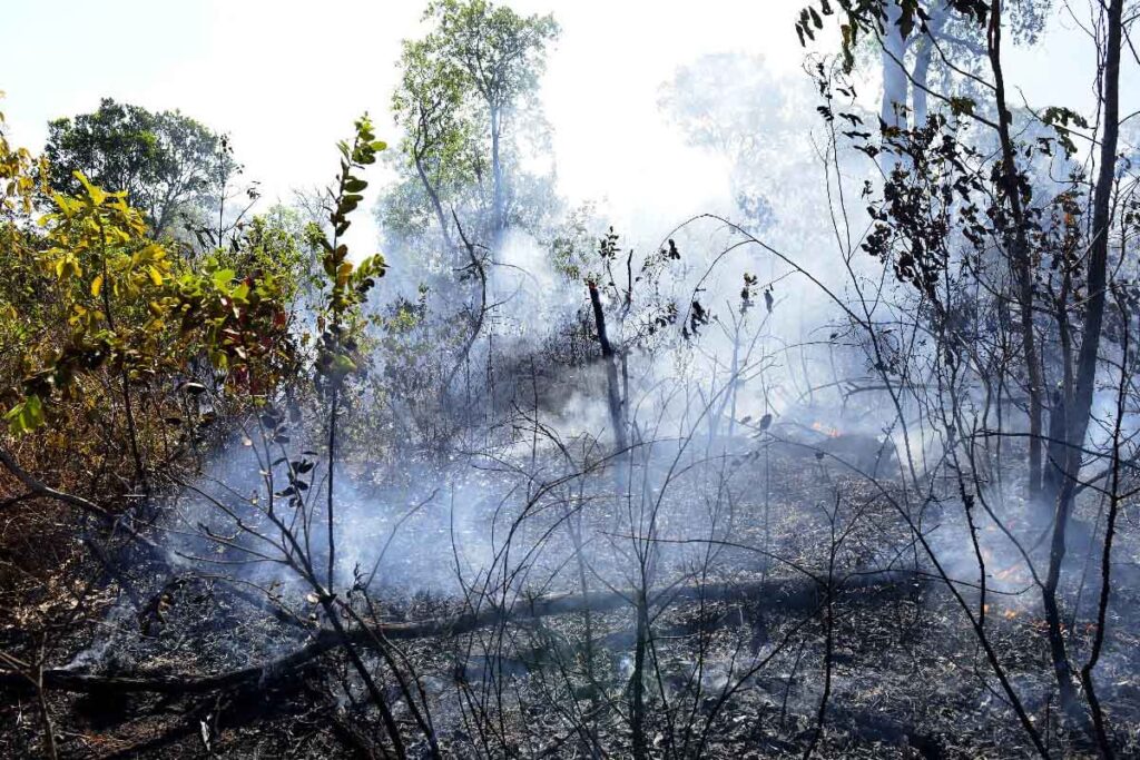 Aumento das queimadas em Palmas no período de calor eleva riscos à saúde respiratória