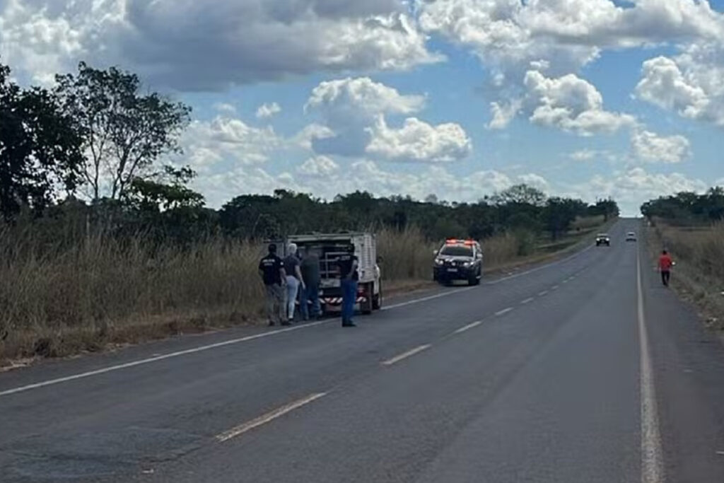 Corpo em decomposição é encontrado às margens da TO-222 em Araguaína