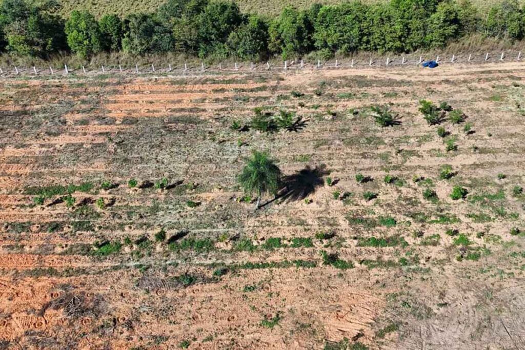 Muricilândia encerra funcionamento de lixão