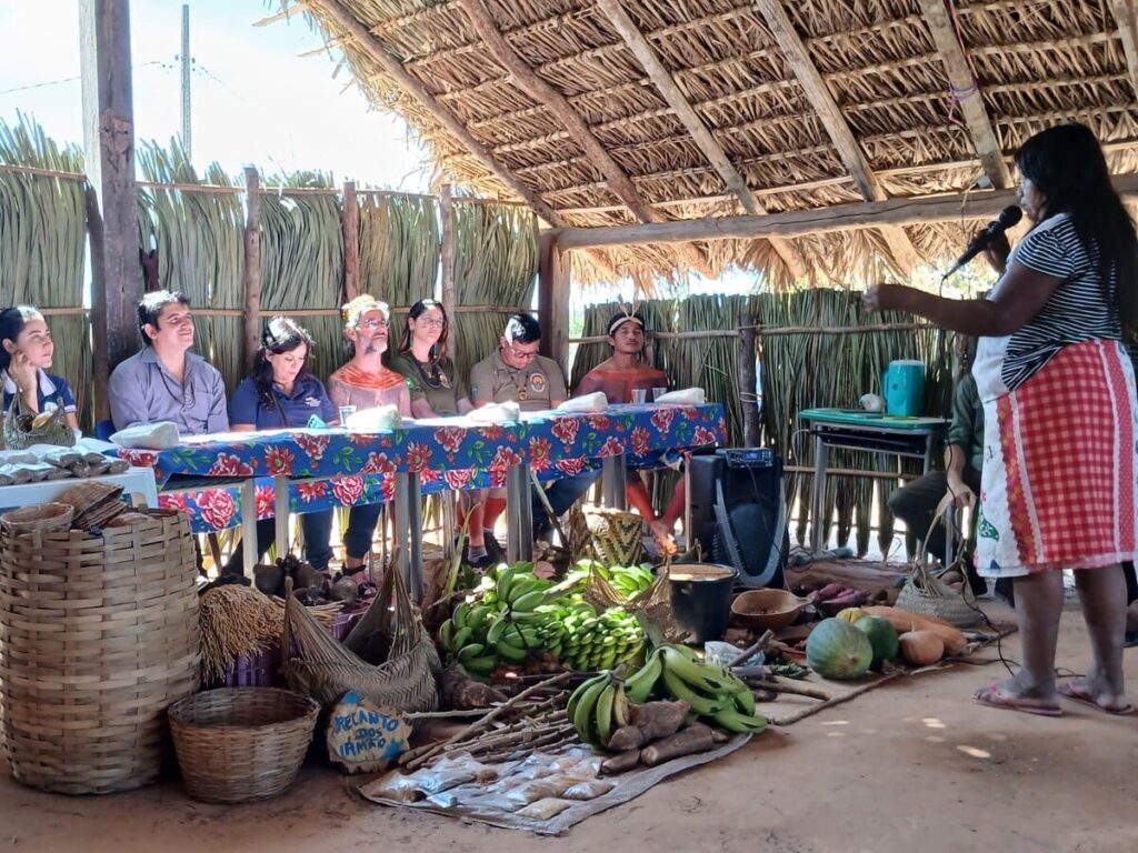 Comunidades indígenas do Tocantins fortalecem agricultura familiar com oficinas sobre PNAE e PAA