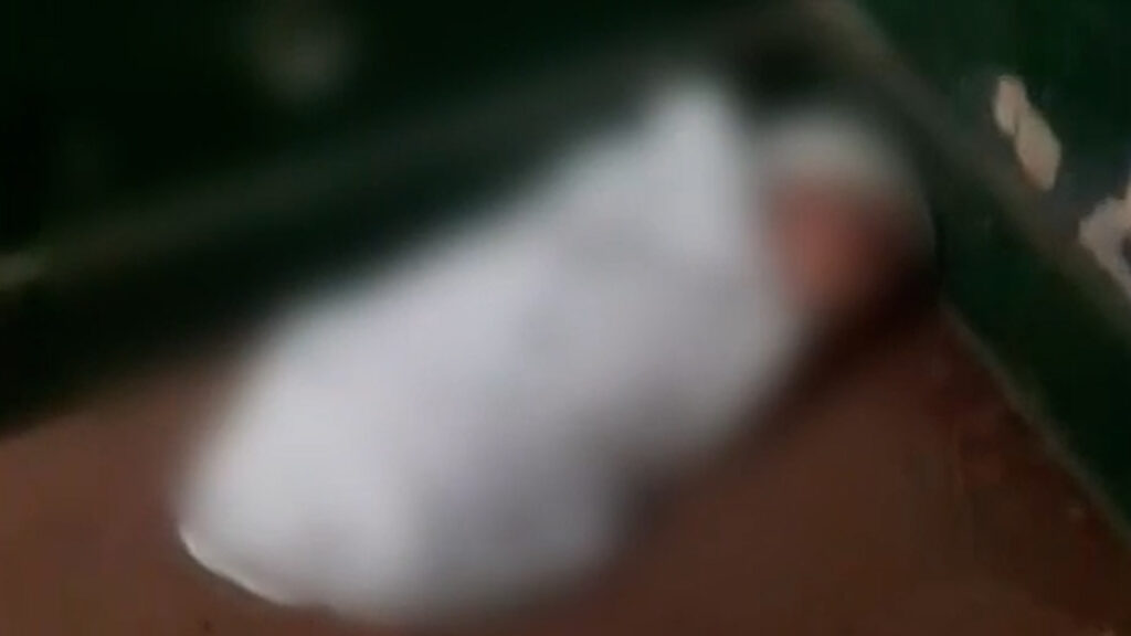 Recém-nascido é encontrado abandonado em frente à Secretaria de Agricultura de Filadélfia