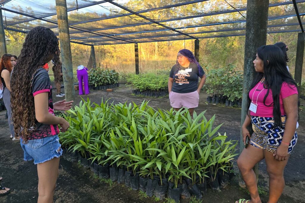 Formação sobre Justiça Climática reúne jovens indígenas e quilombolas