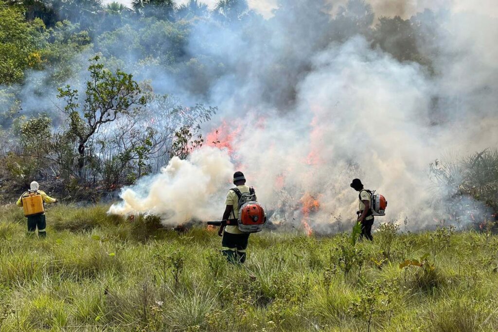 Naturatins realiza manejo com fogo no Jalapão e suspende visitação às Dunas em 24 de junho