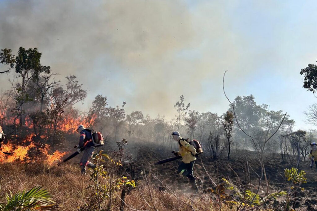 Brigadistas do Tocantins concluem treinamento com aula prática no Parque Estadual do Lajeado