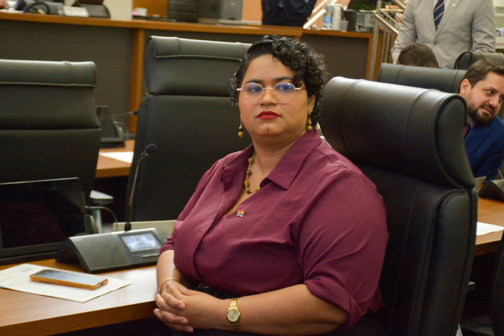 Câmara de Palmas recebe projeto que institui Dia Municipal de Enfrentamento à Violência Sexual