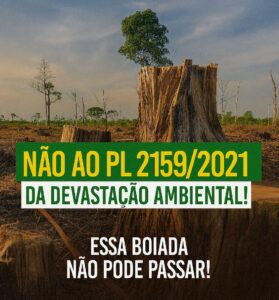 Coletivo SOMOS critica desmonte ambiental aprovado por deputados e pede veto presidencial