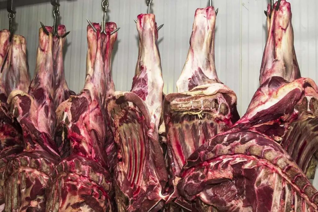 Exportações de carne bovina para os EUA desabam após tarifas impostas por Trump