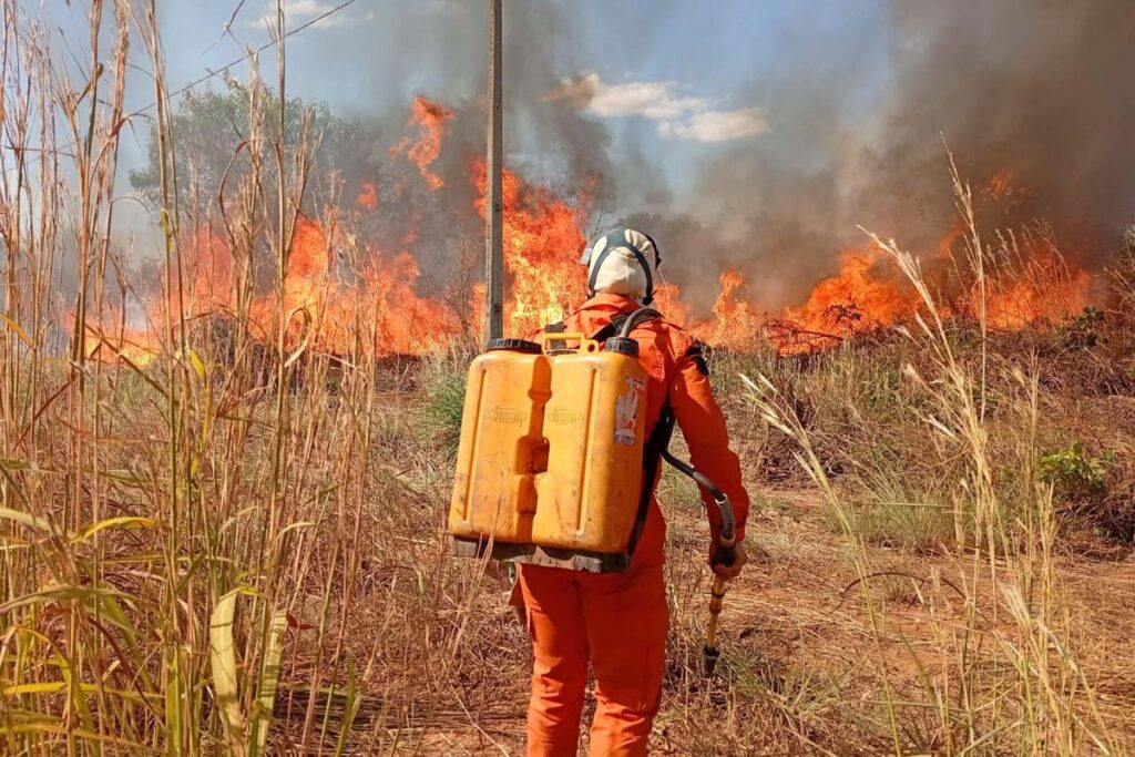 Palmas registra mais de 100 focos de incêndio em julho; Defesa Civil reforça atuação preventiva
