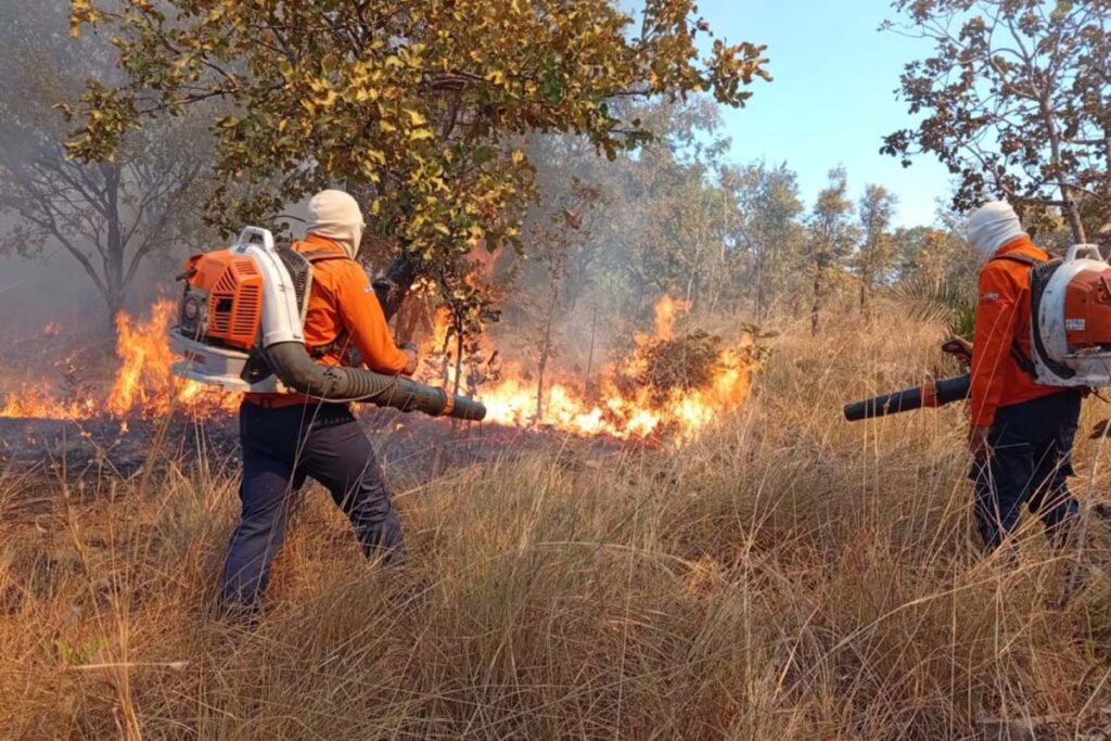 Tocantins entra em alerta máximo após registrar 478 focos de incêndio em 53 municípios