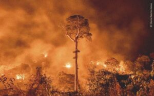 Retrocesso ambiental: Tocantinenses apoiam PL que enfraquece proteção ao meio ambiente