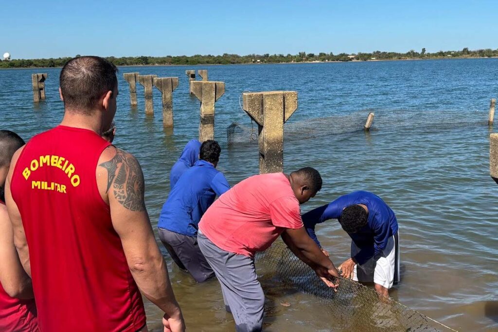 Prefeitura de Palmas instala telas de proteção na Praia do Caju para temporada de 2025