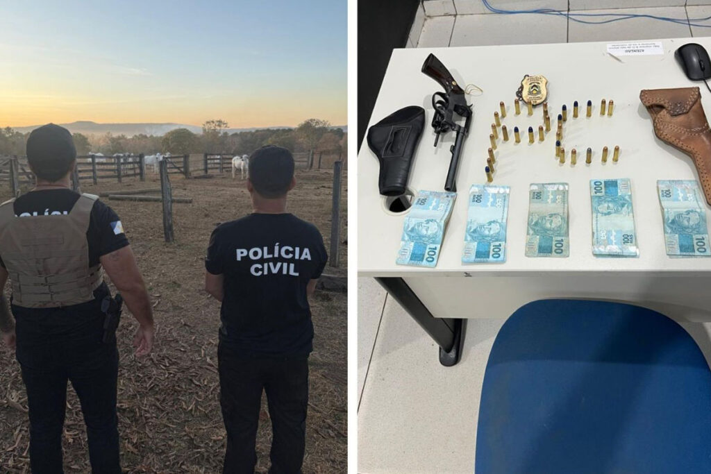 Operação Boi Valente investiga furto de gado e resulta em prisão em Porto Nacional