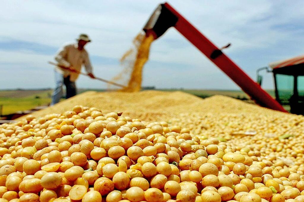 Tocantins deve colher 8,4 milhões de toneladas de grãos na safra 2024/2025, aponta IBGE