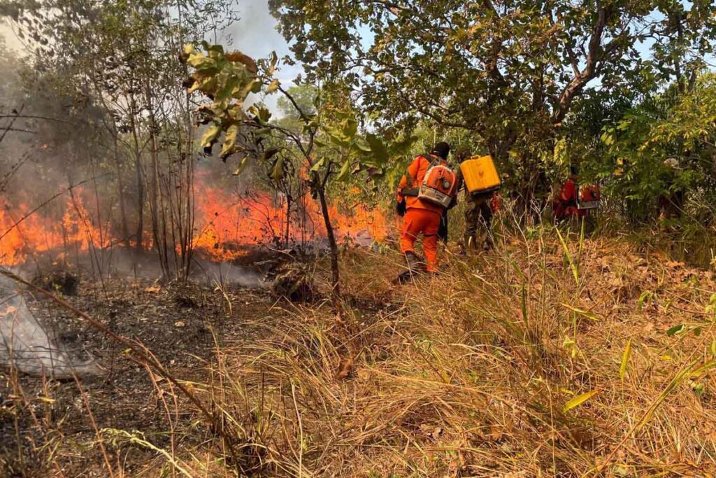 Tocantins firma contrato de R$ 45 milhões com BNDES para reforçar combate às queimadas