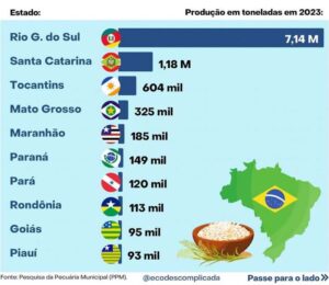 Produção de arroz no Tocantins cresce e garante destaque no agronegócio nacional