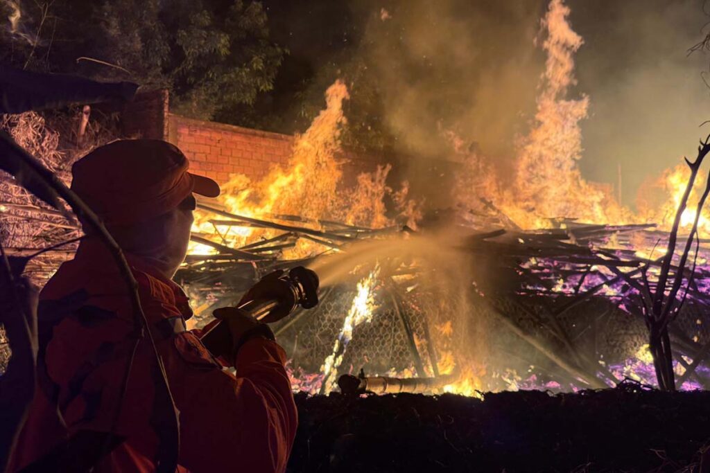 Bombeiros controlam incêndio em bambuzal e evitam que chamas atinjam casas em Araguaína