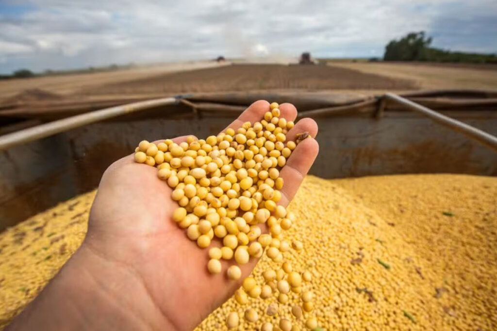 Safra 2024/25 bate recorde no Tocantins com 9,17 milhões de toneladas de grãos