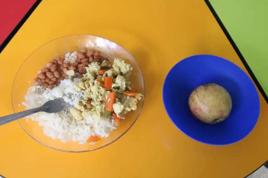 TCE-TO investiga contrato emergencial da Prefeitura de Palmas para merenda escolar de R$ 33,6 milhões