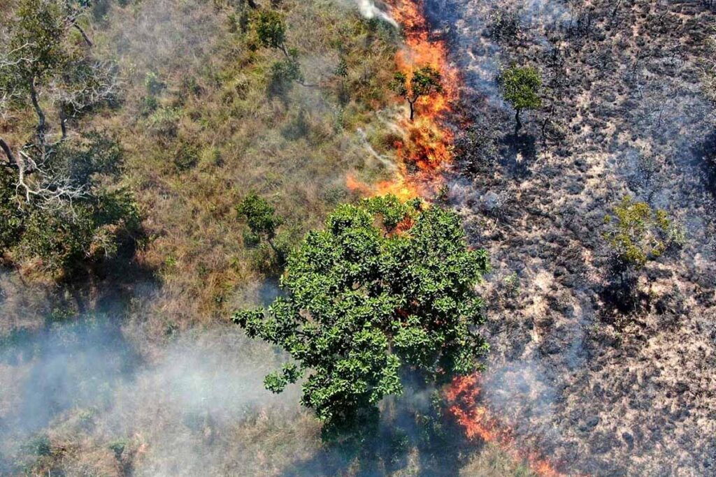 Tocantins registra aumento de 323% nas queimadas em setembro, aponta Inpe