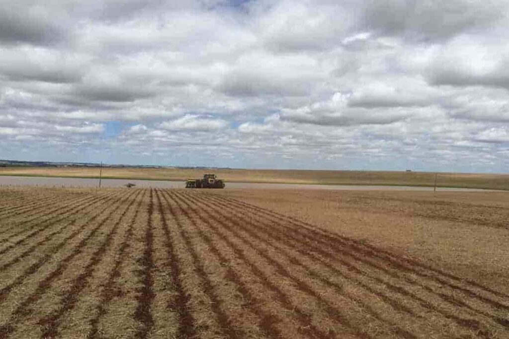 Clima seco e calor atrasam plantio da soja no Tocantins e colocam safrinha em risco