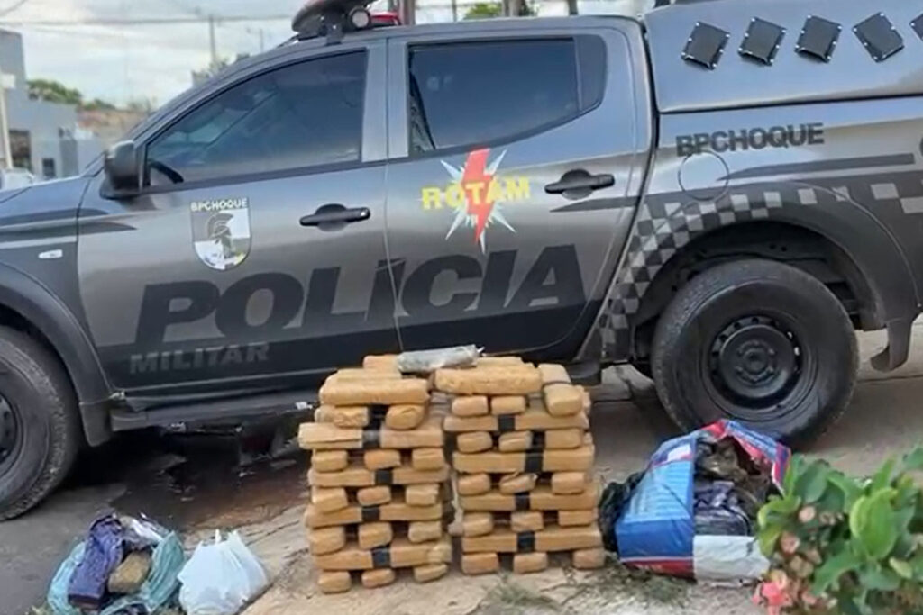 Mais de 80 kg de maconha são apreendidos em chácara no Setor Santa Fé I, em Palmas